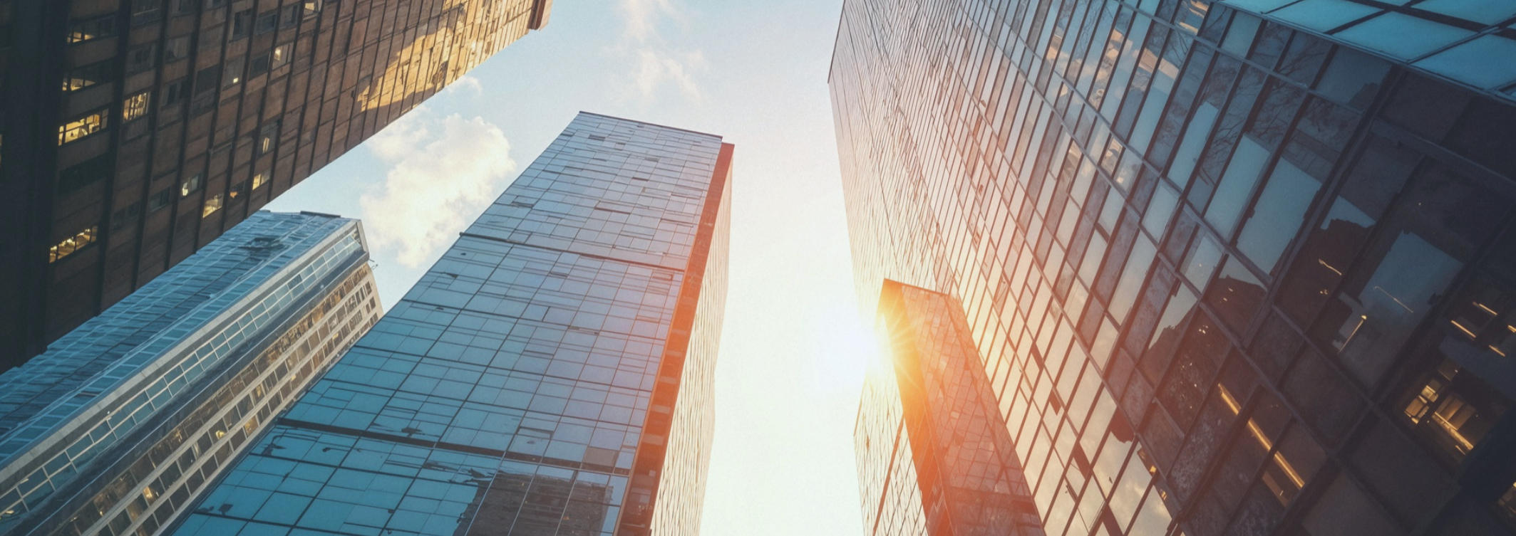 关于郑州初乐科技