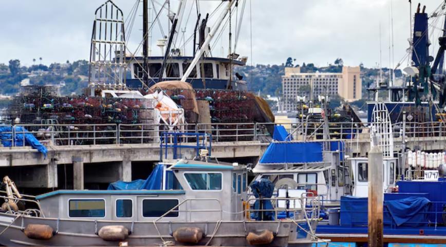 造船外贸产业链中的港口渔业船舶 体现船舶制造在贸易与民生领域的多元价值