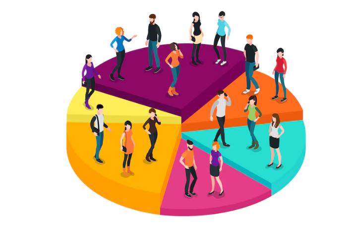 展示人群分布占比的扇形图。