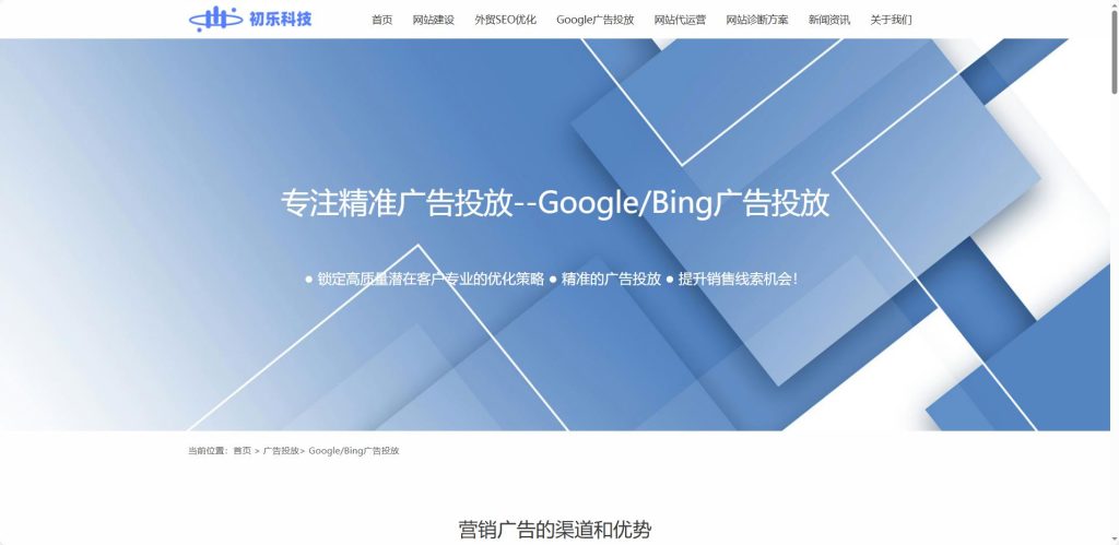 初乐科技在 Google Ads 的业务页面。